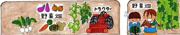 ようちえんの畑