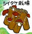 シイタケ畑